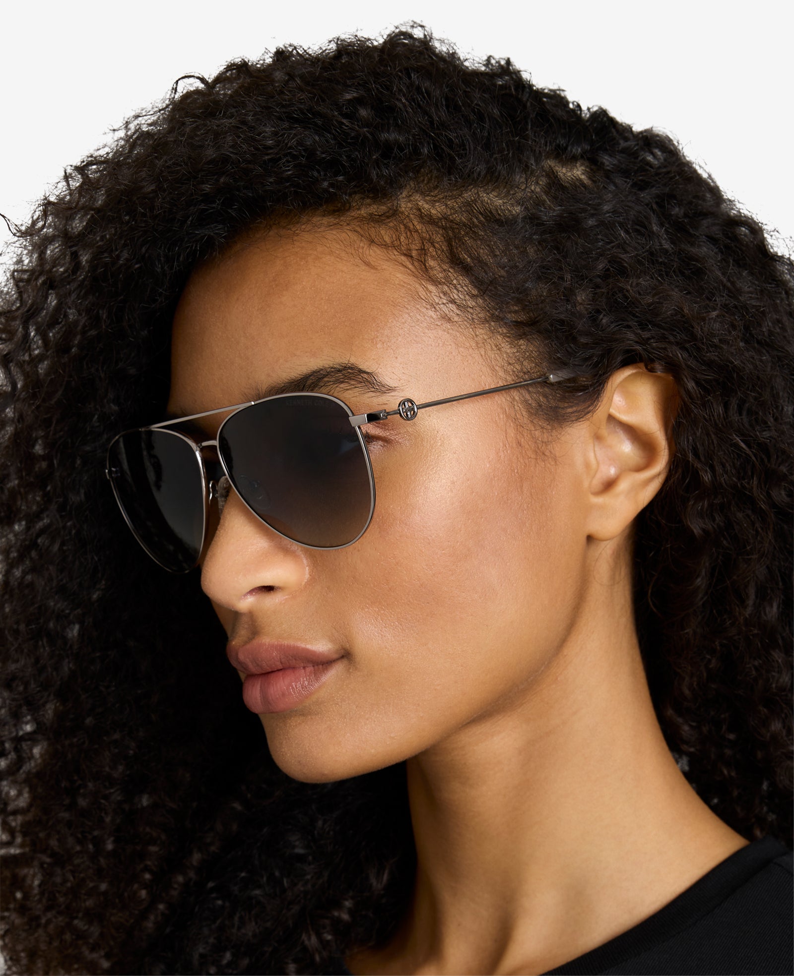 Pilot Titanium Aviator Sunglasses Nickeltin