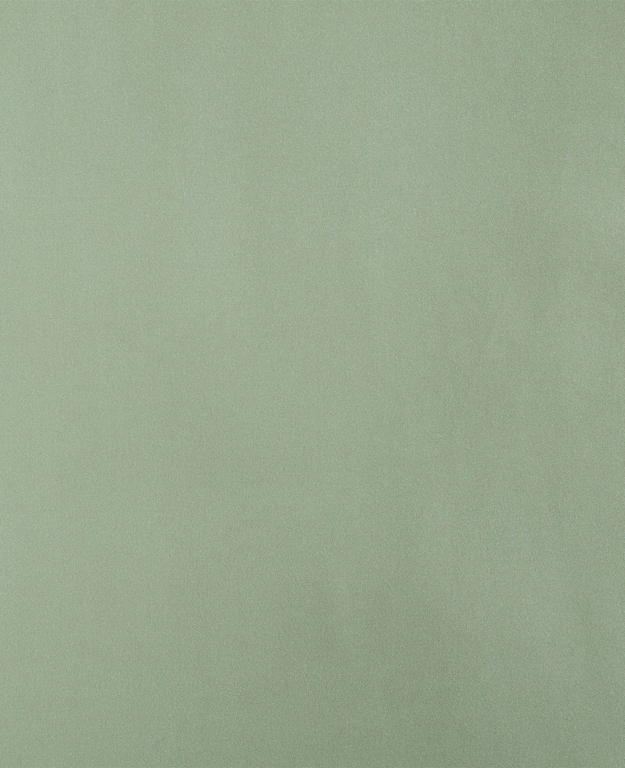 Solution Solid Sheet Set Green