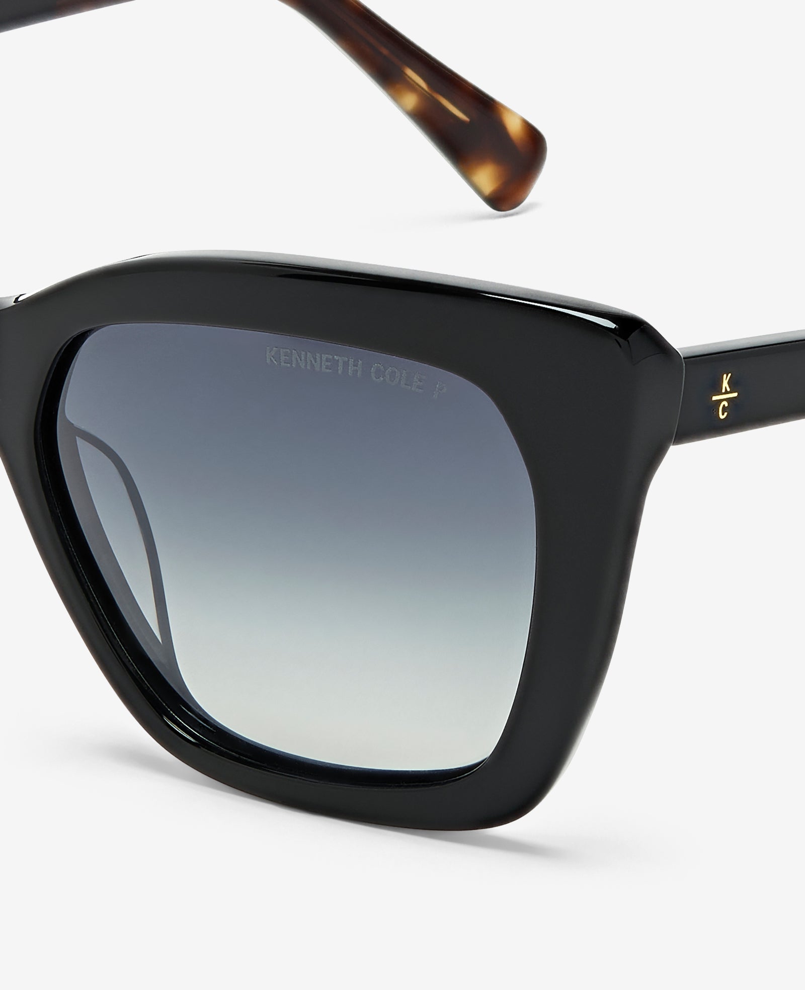 Cat Eye Acetate Sunglasses Black
