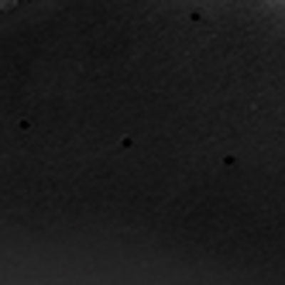 Nicco Sneaker Black